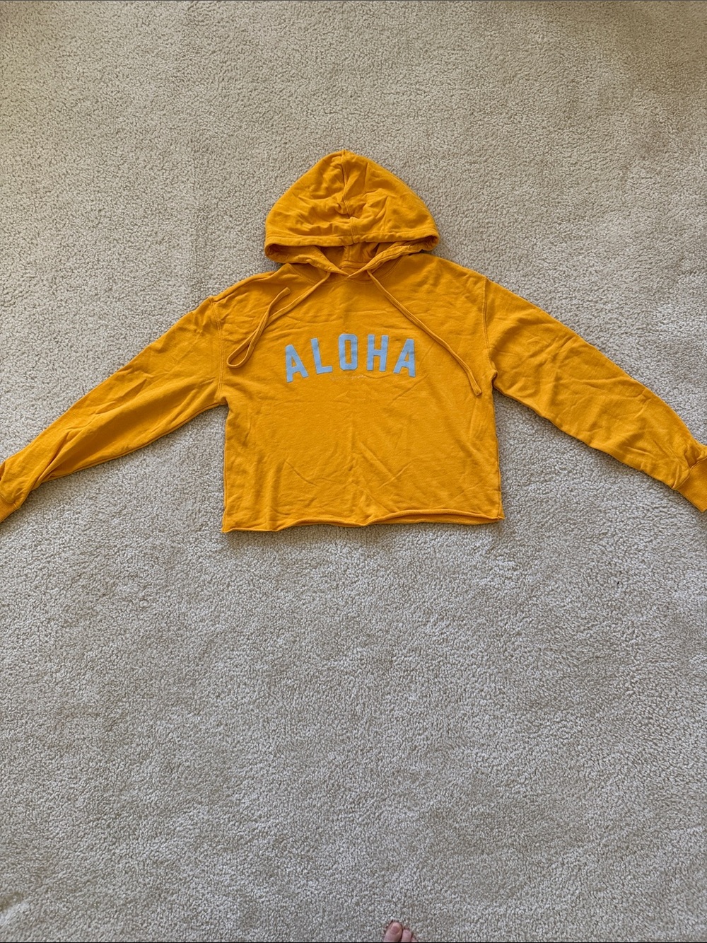 Excellent condition! Spiritual Gangster cropped hoodie